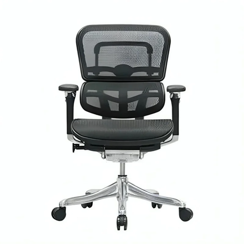 Ergohuman Elite Medium Back Mesh Front