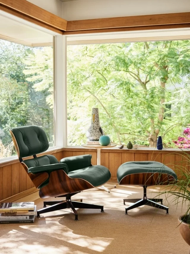 elite leisure chair browncolour