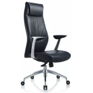 Ergonomic Comfort Chair