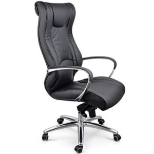 Camry Chair