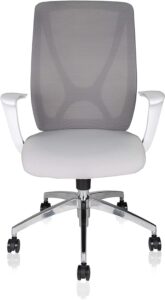 Benz Ergome series Chair