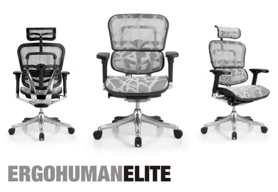 Ergohuman Elite Chair