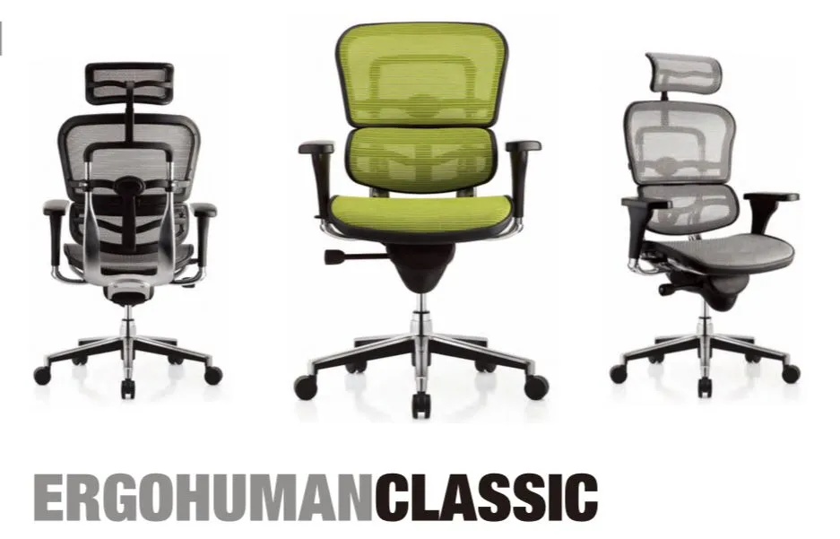 Ergohuman Classic Chair