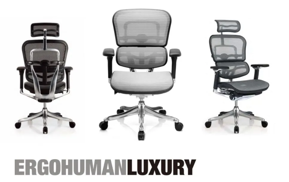 Rayon Ergohuman India Luxury Chair