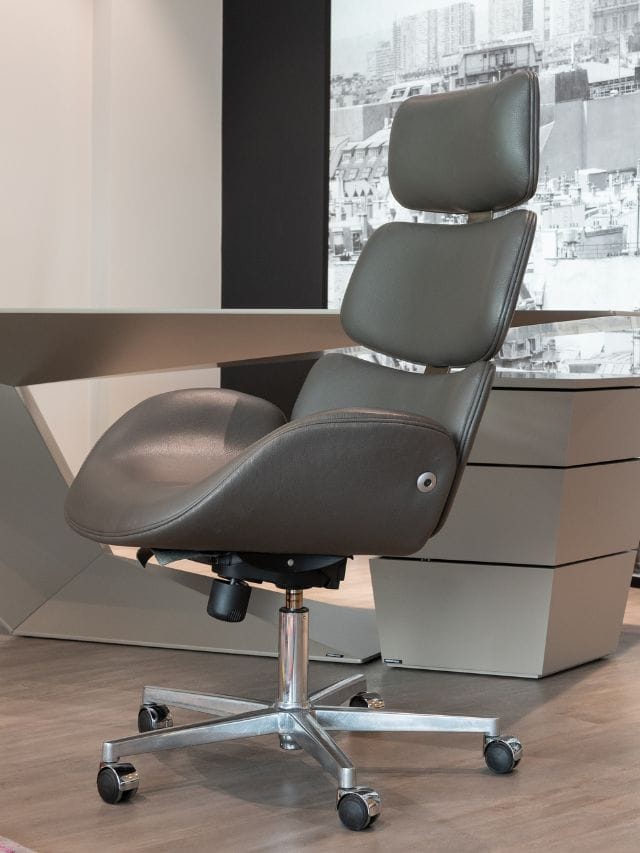 Top 5 Health Benefits of Using a Premium Office Chair