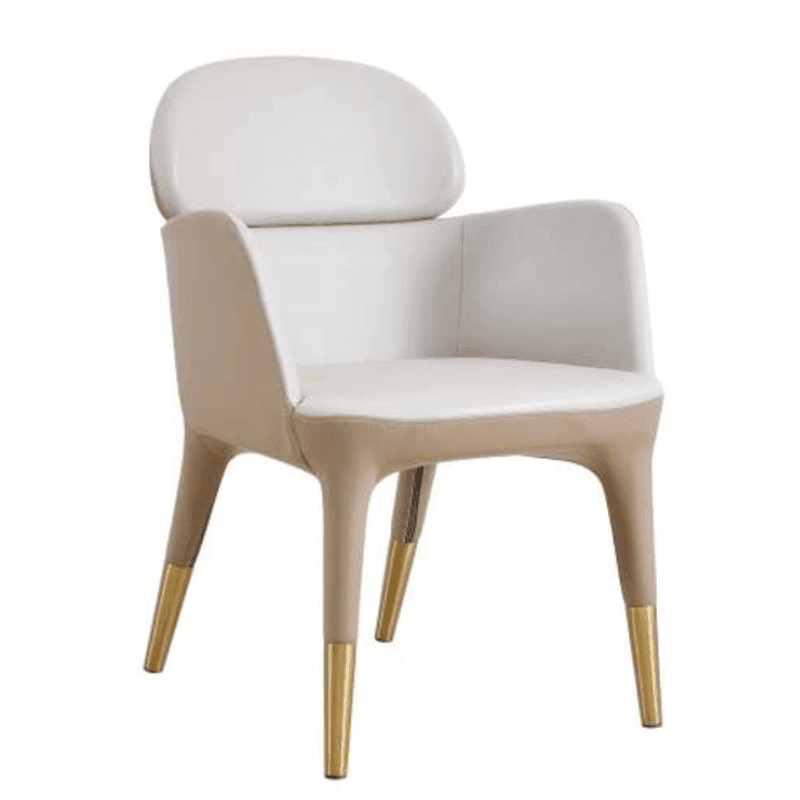 Stylish PARCOS Dining Chair