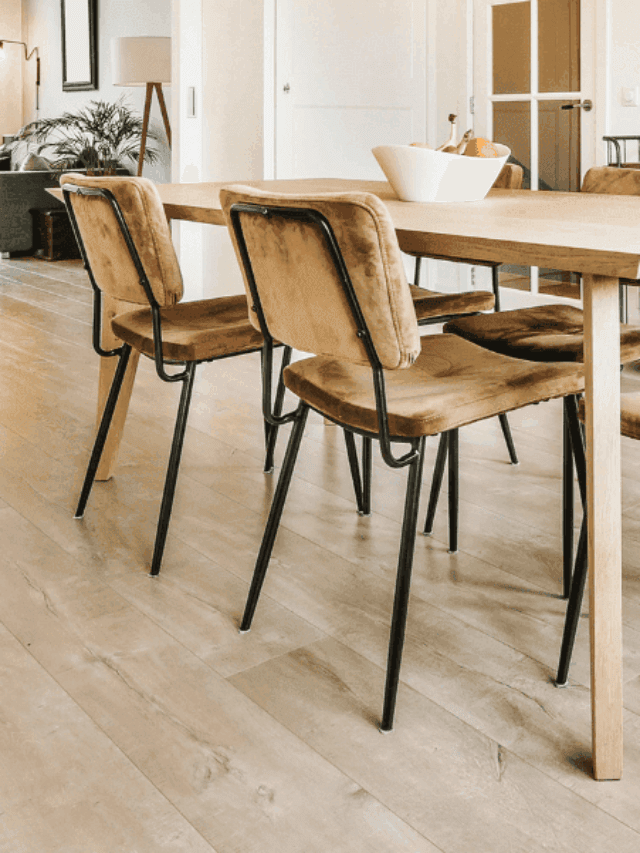 Top 7 Modern Dining Chair Trends for 2025