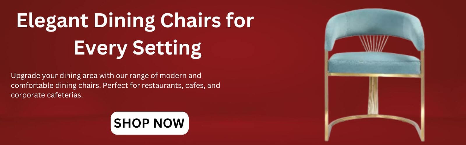 Aadinath Furniture - Your One-Stop Furniture Solution 2 Dining Chair Banner for Homepage