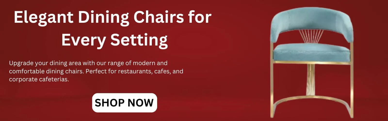 Aadinath Furniture - Best Online Furniture Store in India 2 Dining Chair Banner for Homepage