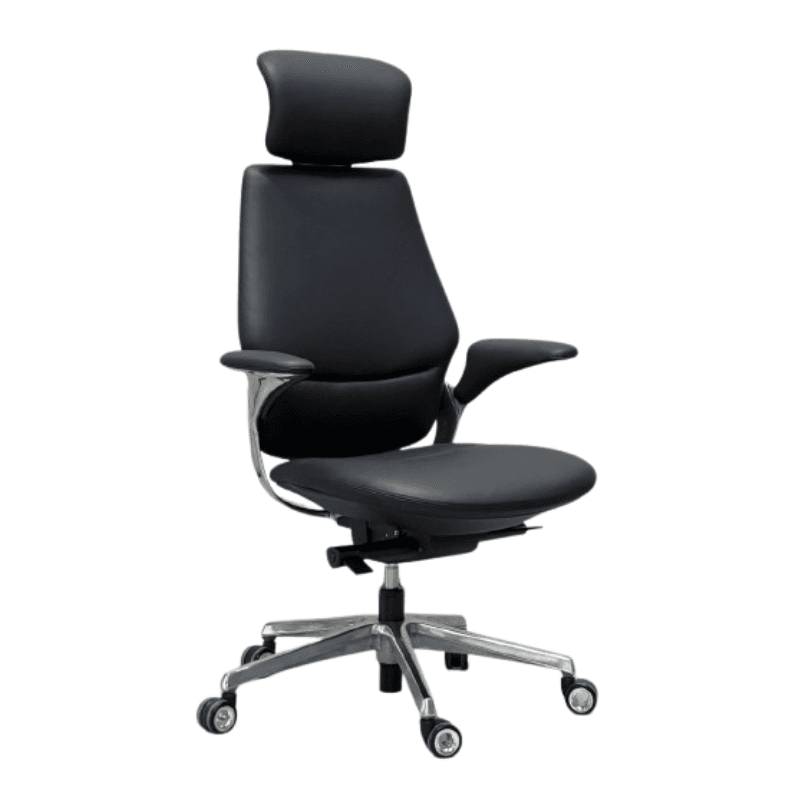 Ergonomic High Back Chair With Armrest and Metal Legs