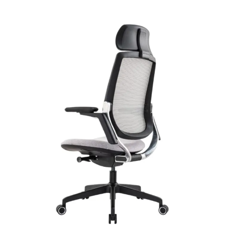 Aesthetic Mesh Ergonomic Office Chair With Adjustable Armrest And Headrest