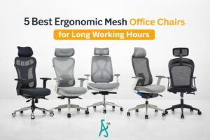 5 Best Ergonomic Mesh Office Chairs for Long Working Hours